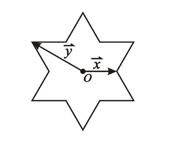 正六角星與頂點向量圖